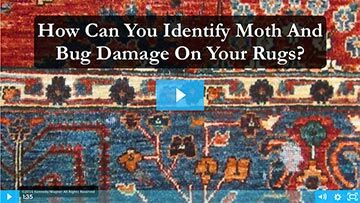 HOW TO IDENTIFY MOTH AND BUG DAMAGE ON YOUR RUGS?
