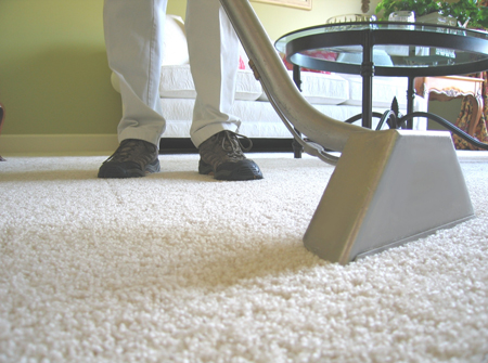 person professionally cleaning carpet