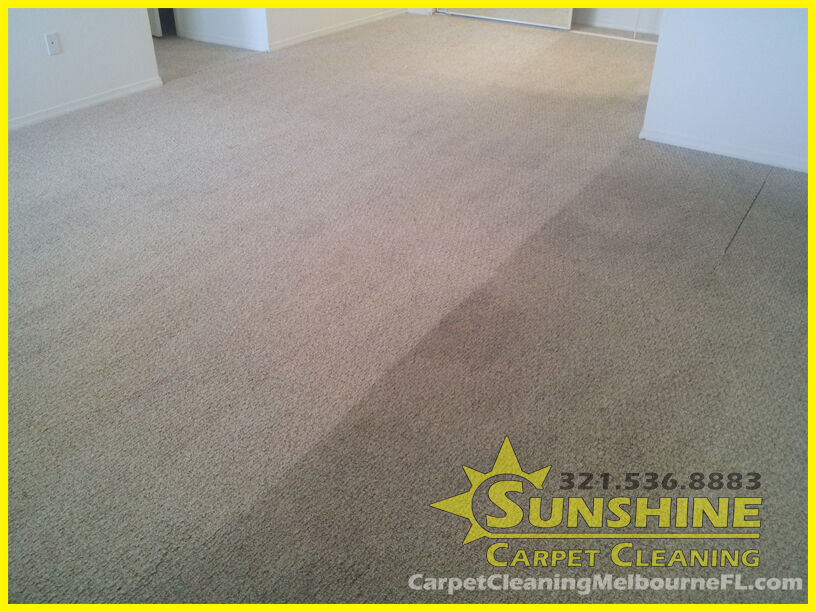before and after of cleaned berber carpet