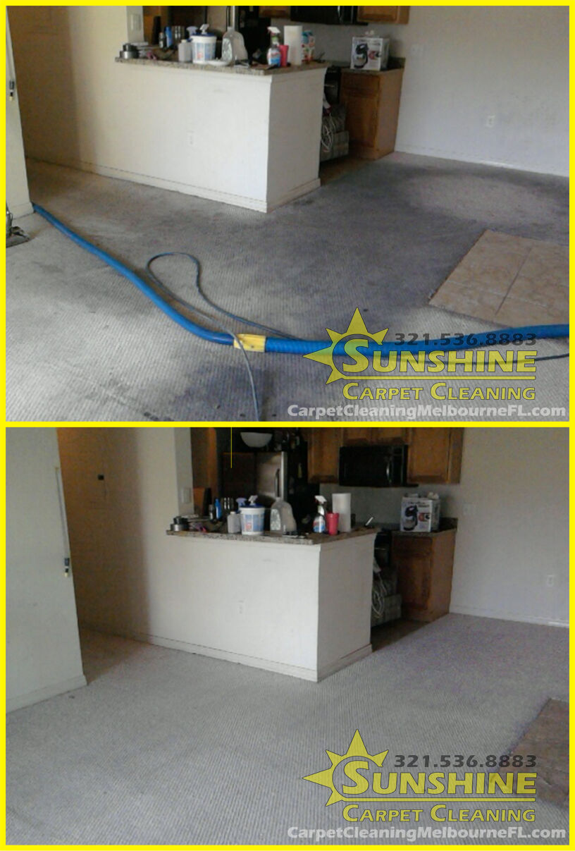 before and after of stained gray carpet