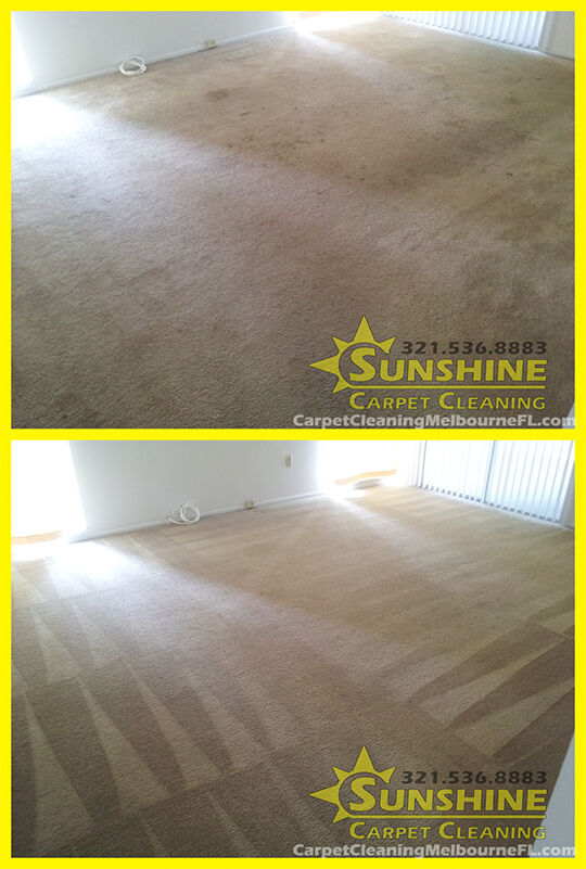 before and after of stained tan carpet