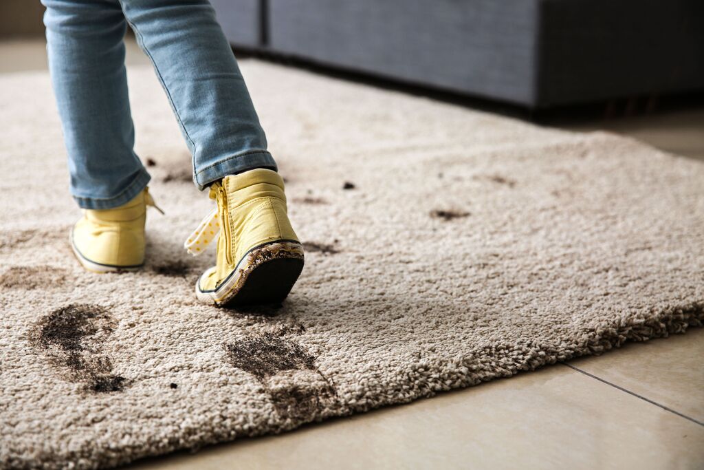 Carpet Cleaning Melbourne Florida