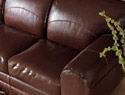 leather sofa