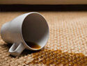 coffee spilled onto carpet from tipped over cup