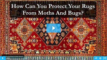 HOW CAN YOU PROTECT YOUR RUGS FROM MOTHS AND BUGS?