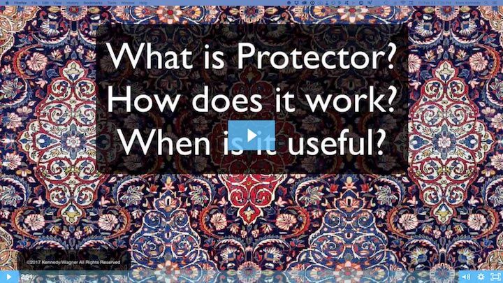 WHAT IS PROTECTOR?