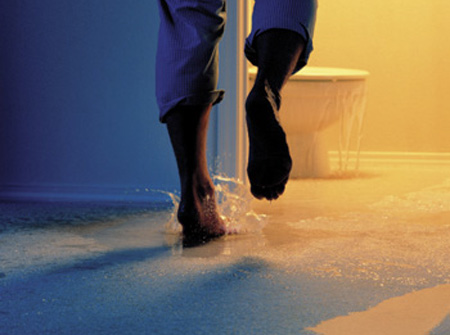 24 hour carpet cleaning service melbourne, fl