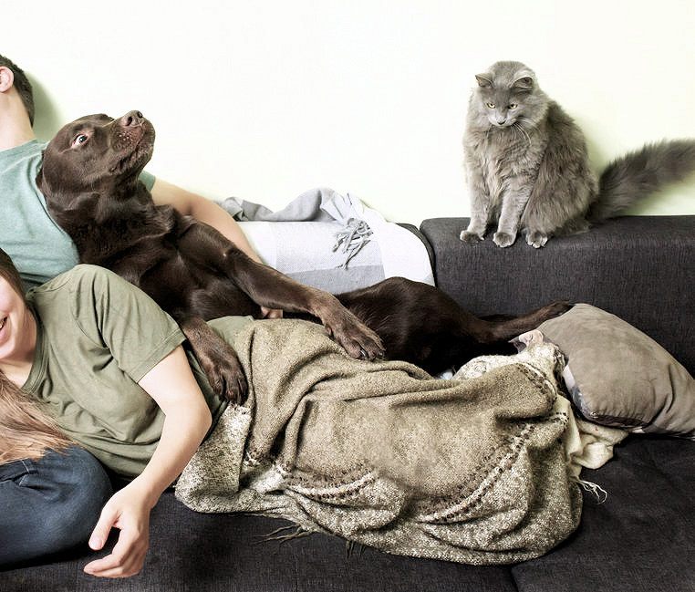 Dog and Cat on Couch